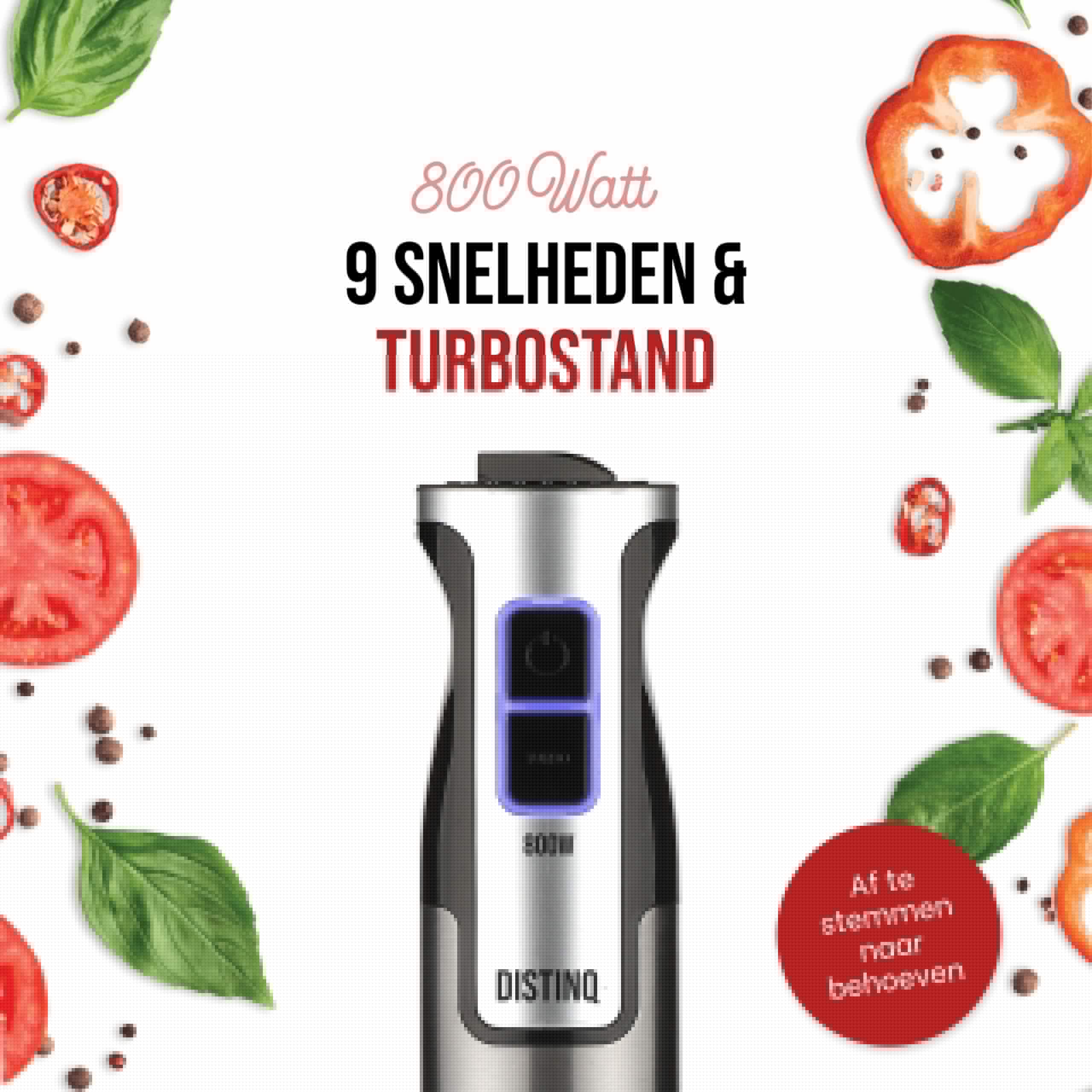 DistinQ Hand Blender Set