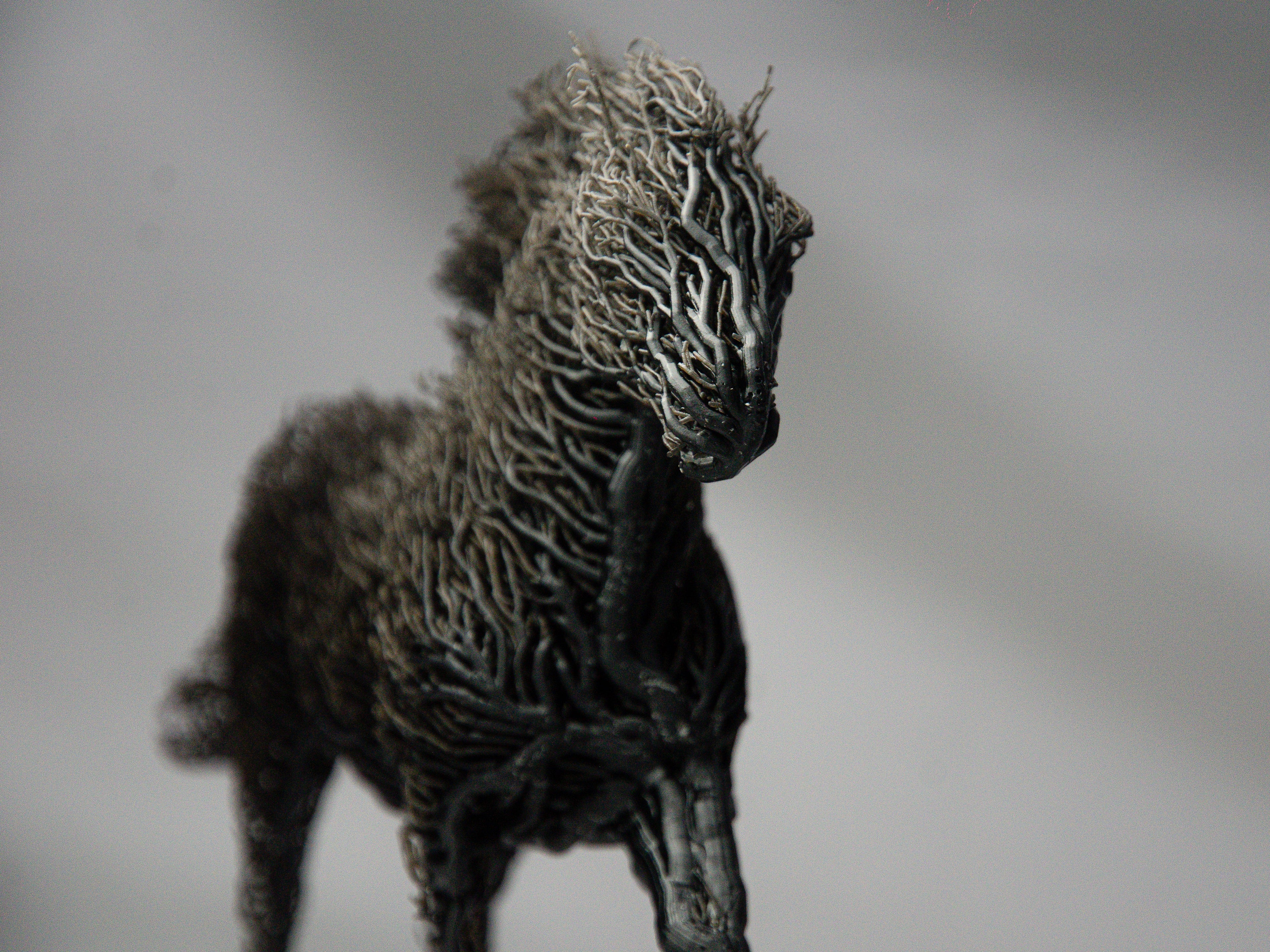 Black Grown Horse