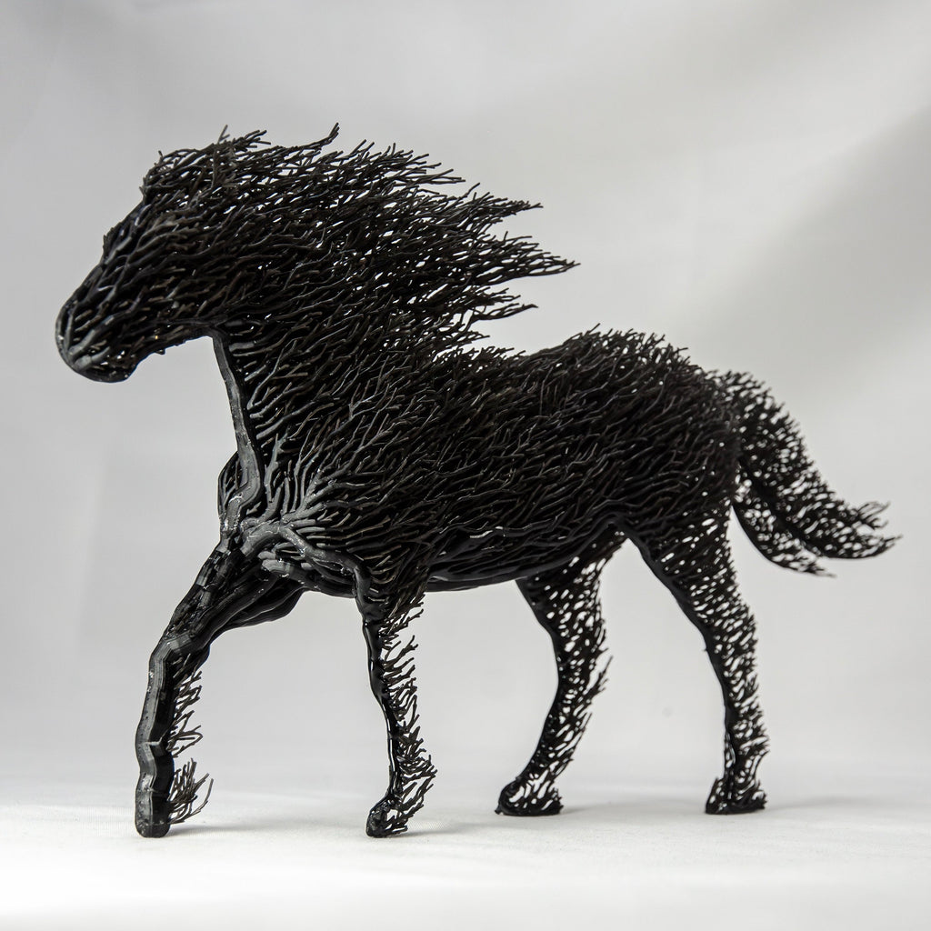 Black Grown Horse