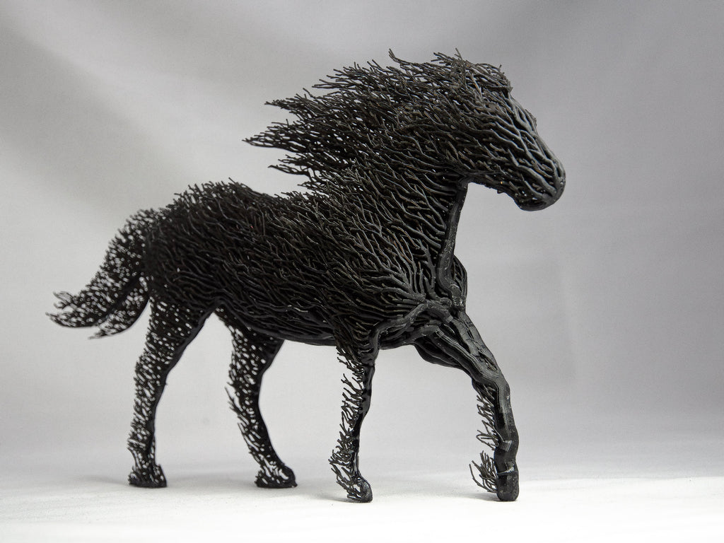 Black Grown Horse